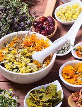 Preparations a base de plantes medicinales