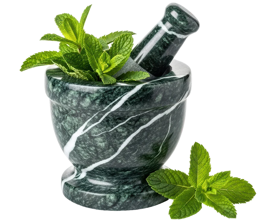 The integration of botanical systems into human wellness